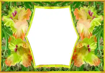 Efekt zdjęciowy z kategorii Ramki dla kobiet № 143517