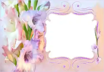 Efekt zdjęciowy z kategorii Ramki dla kobiet № 143530