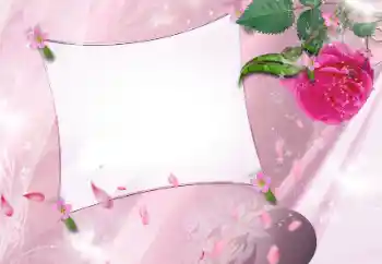 Efekt zdjęciowy z kategorii Ramki dla kobiet № 143586