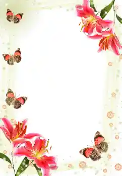 Efekt zdjęciowy z kategorii Ramki dla kobiet № 143606