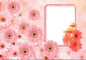 Efekt zdjęciowy z kategorii Ramki dla kobiet № 143633