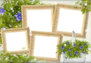 Efekt zdjęciowy z kategorii Ramki dla kobiet № 143738