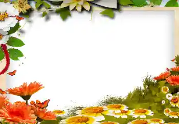 Efekt zdjęciowy z kategorii Ramki dla kobiet № 143768