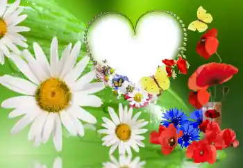 Efekt zdjęciowy z kategorii Ramki dla kobiet № 143780