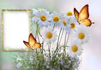 Efekt zdjęciowy z kategorii Ramki dla kobiet № 145117