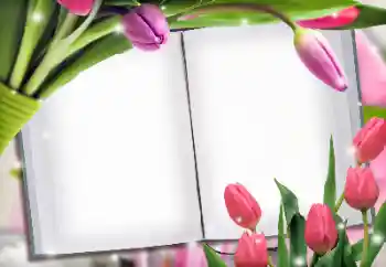 Efekt zdjęciowy z kategorii Ramki dla kobiet № 145223