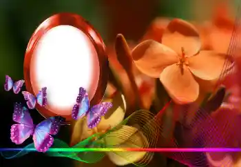 Efekt zdjęciowy z kategorii Ramki dla kobiet № 146254