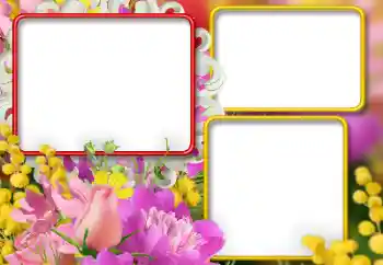 Efekt zdjęciowy z kategorii Ramki dla kobiet № 146392