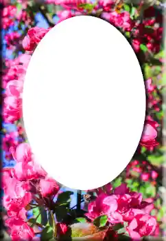 Efekt zdjęciowy z kategorii Ramki dla kobiet № 147641