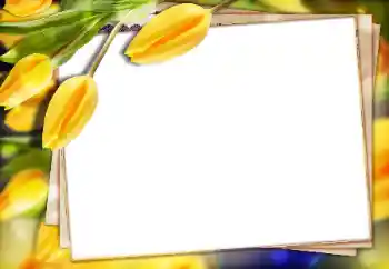 Efekt zdjęciowy z kategorii Ramki dla kobiet № 147770