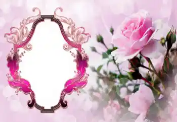 Efekt zdjęciowy z kategorii Ramki dla kobiet № 147772