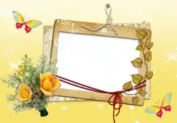 Efekt zdjęciowy z kategorii Ramki dla kobiet № 14916