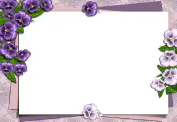 Efekt zdjęciowy z kategorii Ramki dla kobiet № 149194