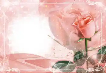 Efekt zdjęciowy z kategorii Ramki dla kobiet № 149224