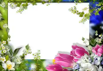 Efekt zdjęciowy z kategorii Ramki dla kobiet № 149325