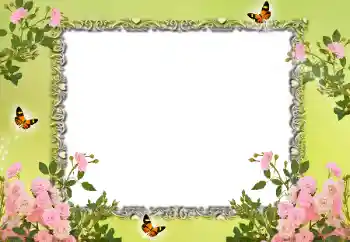 Efekt zdjęciowy z kategorii Ramki dla kobiet № 15015