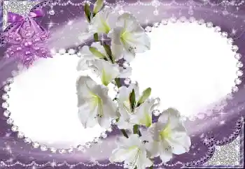 Efekt zdjęciowy z kategorii Ramki dla kobiet № 15023