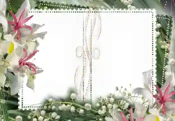 Efekt zdjęciowy z kategorii Ramki dla kobiet № 15027