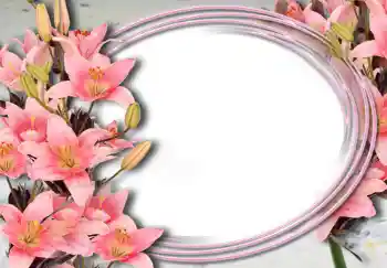 Efekt zdjęciowy z kategorii Ramki dla kobiet № 15032