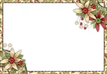 Efekt zdjęciowy z kategorii Ramki dla kobiet № 150542