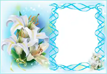 Efekt zdjęciowy z kategorii Ramki dla kobiet № 150556