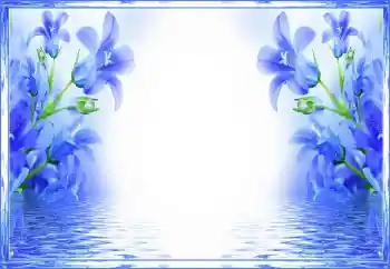 Efekt zdjęciowy z kategorii Ramki dla kobiet № 150560