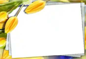 Efekt zdjęciowy z kategorii Ramki dla kobiet № 150591