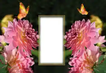 Efekt zdjęciowy z kategorii Ramki dla kobiet № 150649