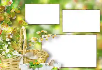 Efekt zdjęciowy z kategorii Ramki dla kobiet № 151667