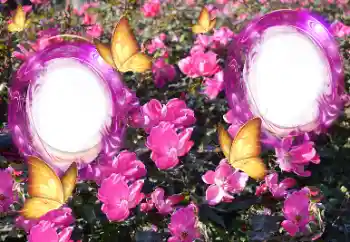 Efekt zdjęciowy z kategorii Ramki dla kobiet № 151815