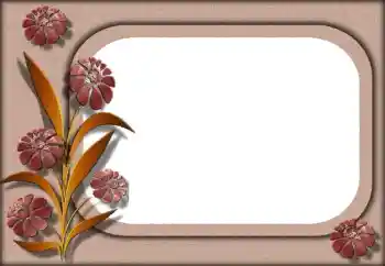 Efekt zdjęciowy z kategorii Ramki dla kobiet № 151835