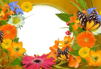 Efekt zdjęciowy z kategorii Ramki dla kobiet № 152894