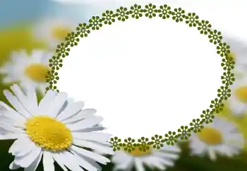 Efekt zdjęciowy z kategorii Ramki dla kobiet № 152966