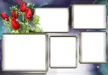 Efekt zdjęciowy z kategorii Ramki dla kobiet № 153003