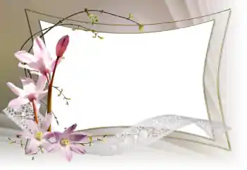 Efekt zdjęciowy z kategorii Ramki dla kobiet № 153036