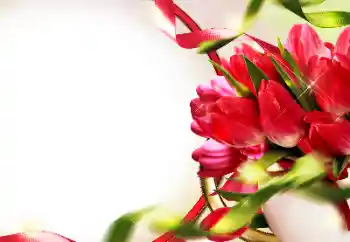 Efekt zdjęciowy z kategorii Ramki dla kobiet № 153228