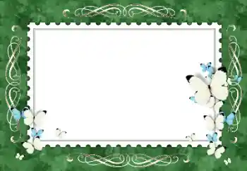 Efekt zdjęciowy z kategorii Ramki dla kobiet № 154319