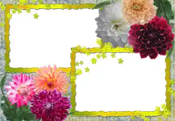 Efekt zdjęciowy z kategorii Ramki dla kobiet № 154361