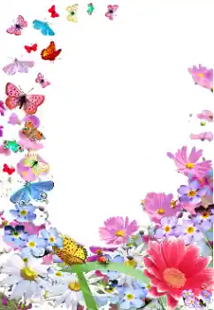 Efekt zdjęciowy z kategorii Ramki dla kobiet № 154470