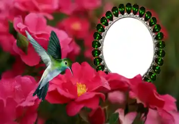 Efekt zdjęciowy z kategorii Ramki dla kobiet № 154585