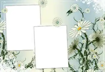 Efekt zdjęciowy z kategorii Ramki dla kobiet № 154786