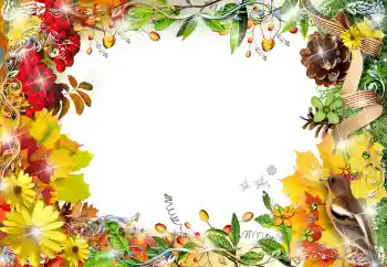 Efekt zdjęciowy z kategorii Ramki dla kobiet № 155799