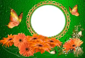 Efekt zdjęciowy z kategorii Ramki dla kobiet № 155817