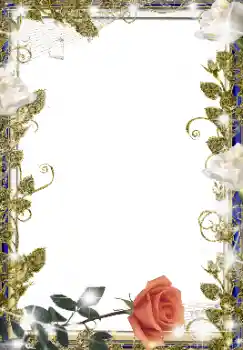 Efekt zdjęciowy z kategorii Ramki dla kobiet № 155847