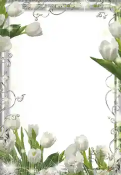 Efekt zdjęciowy z kategorii Ramki dla kobiet № 155849