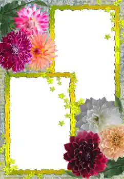 Efekt zdjęciowy z kategorii Ramki dla kobiet № 155888