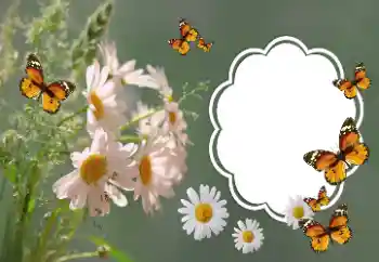 Efekt zdjęciowy z kategorii Ramki dla kobiet № 157064