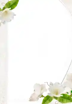 Efekt zdjęciowy z kategorii Ramki dla kobiet № 157069