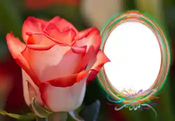 Efekt zdjęciowy z kategorii Ramki dla kobiet № 157090