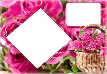 Efekt zdjęciowy z kategorii Ramki dla kobiet № 157091